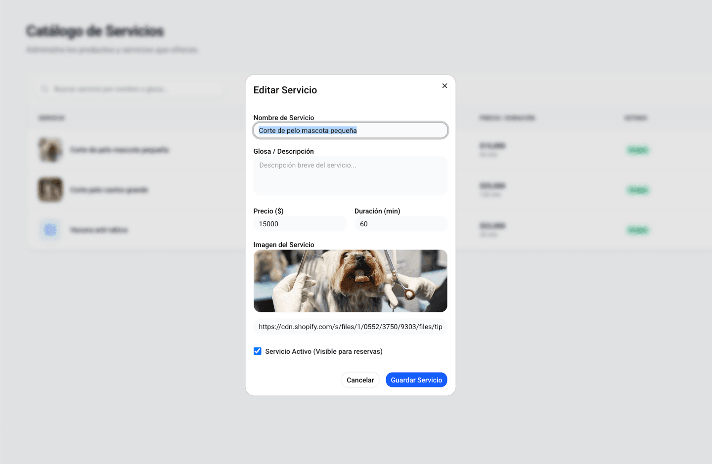 Creación de servicios en KindAp de manera simple